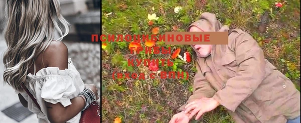 крисы Куйбышев