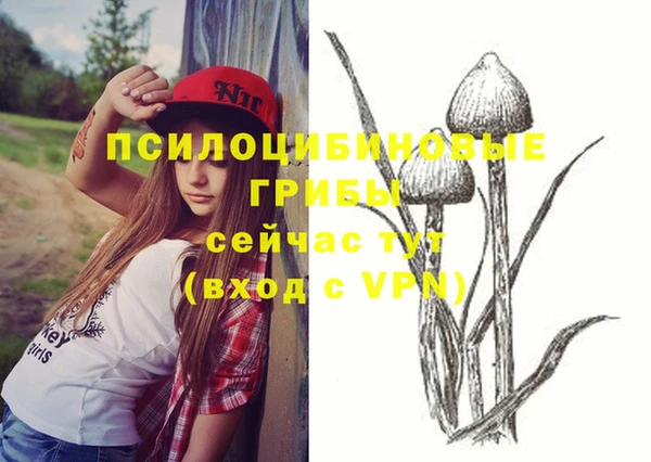 крисы Куйбышев