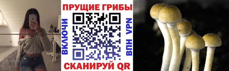 Галлюциногенные грибы Cubensis  Оренбург 