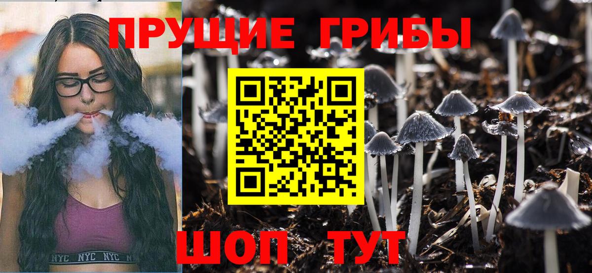 Галлюциногенные грибы Psilocybine cubensis Оренбург